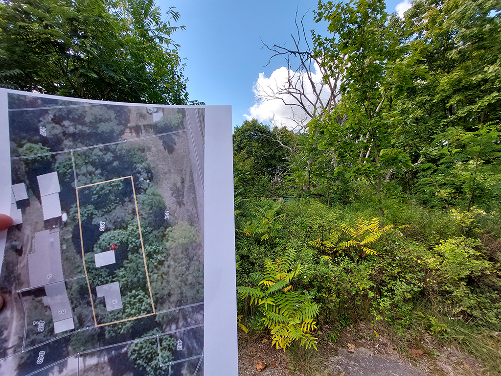 Bild zeigt eine grün zugewachsene Fläche. Jemand hält eine Luftaufnahme des Geändes mit Markierungen ins Bild.