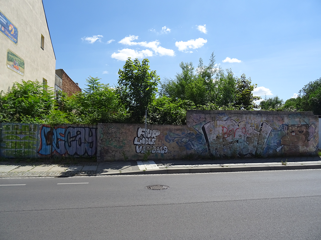 Blick auf eine Mauer mit Graffitis. Dahinter ein stark zugewachsenes Grundstück.