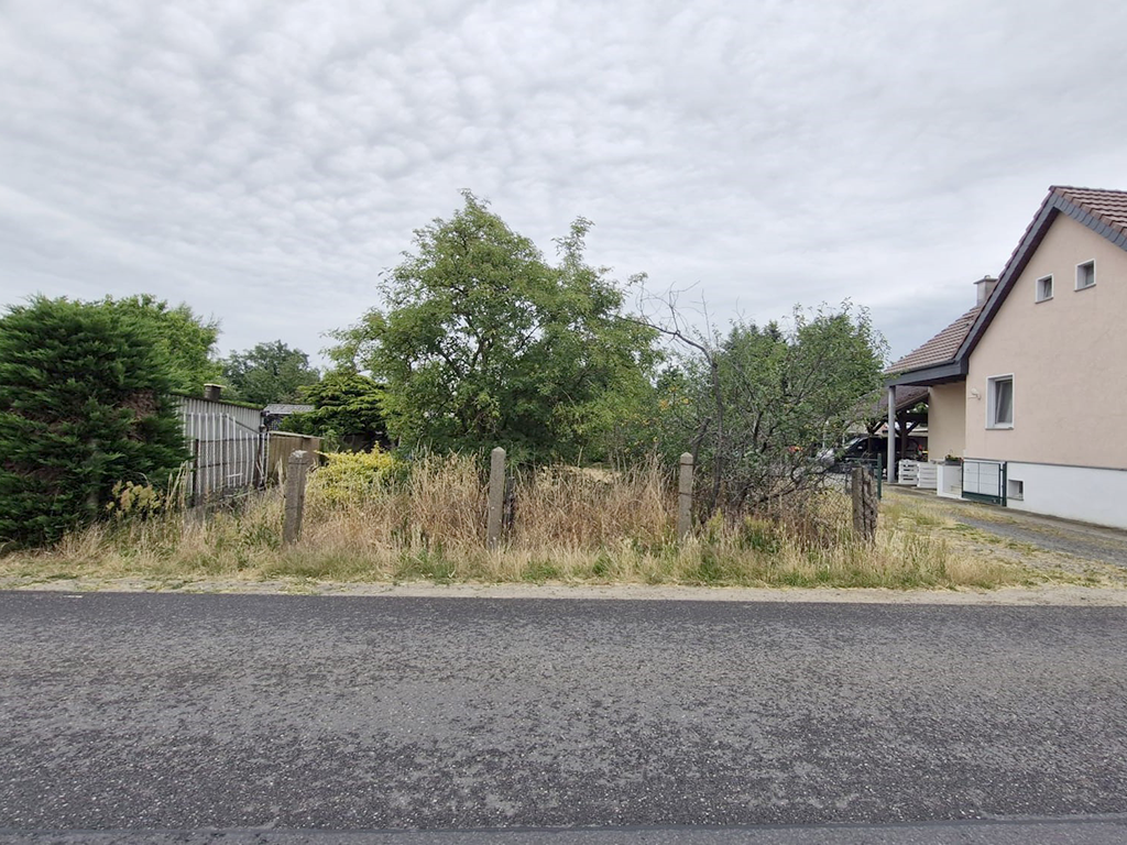 Blick auf ein verwildertes Grundstück. Links und rechts ist Bebauung.