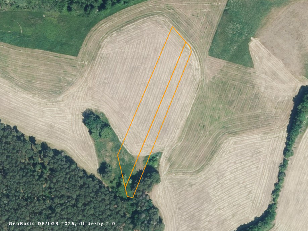 Luftaufnahme eine landwirtschaftlichen Fläche. Im unteren Bildrand ist Baumbestand zu sehen.