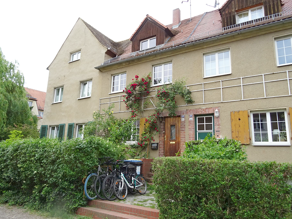 Frontansicht eines Reihenhauses mir Rosenspalier. Vorm Haus wächste eine dichte Hecke. Eine kleine Treppe führt zur Eingangstür.